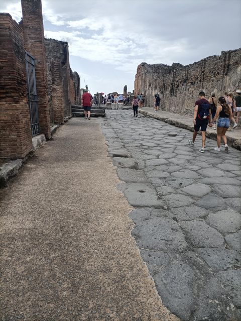 Pompeii Herculaneum and Oplontis With the Guide From Naples - Highlights