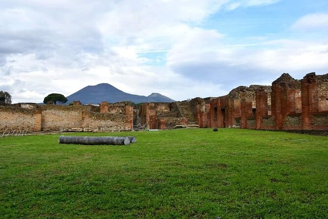 Pompeii Ruins and Wine Tour From Sorrento - Booking Information