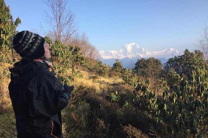 Poon Hill Circuit With Hot Spring Trek From Pokhara - Customer Support and Queries