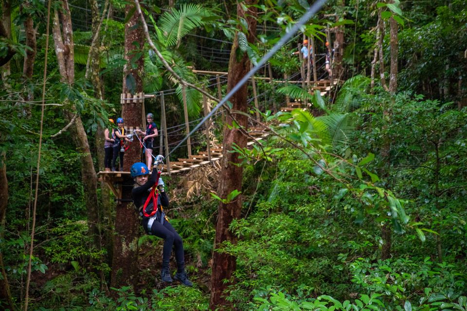 Port Douglas: Daintree National Park Ziplining & Cruise - Itinerary