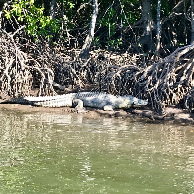 Port Douglas: Lady Douglas Sunset River Cruise With Snacks - Inclusions and Highlights