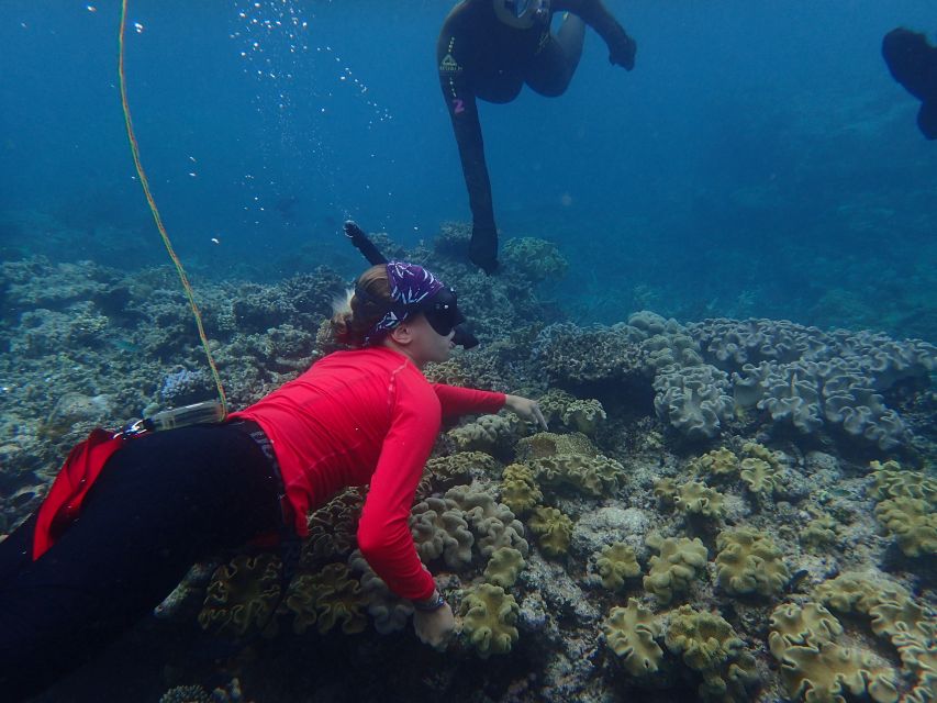 Port Douglas: Outer Great Barrier Reef Snorkeling Cruise - Booking Information