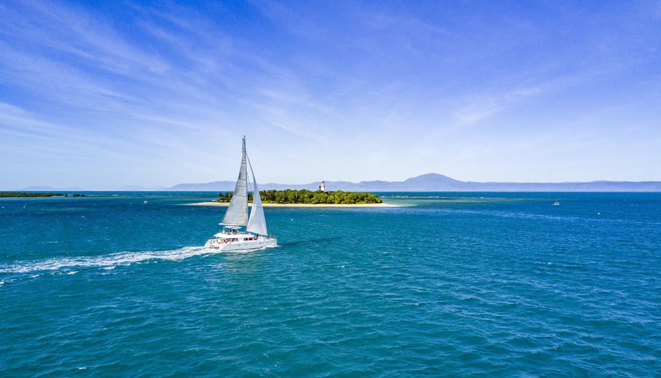 Port Douglas: Reef & Low Isles Cruise on Luxury Catamaran - Tour Highlights