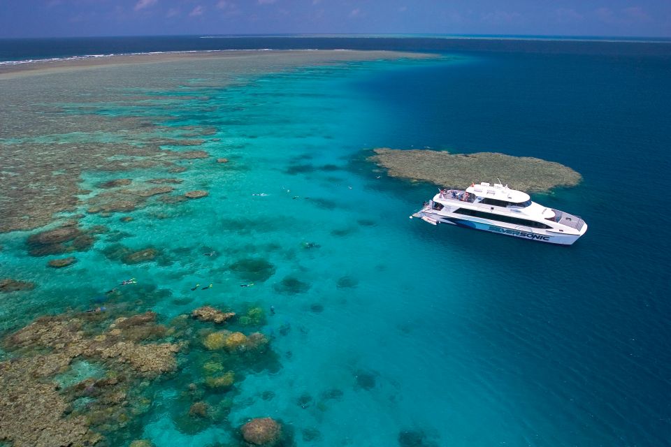 Port Douglas: Silversonic Great Barrier Reef Dive & Snorkel - Important Information