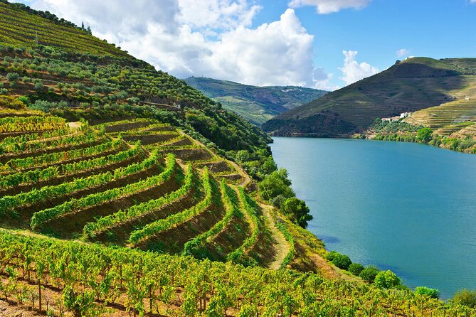 Porto and Douro Private Tour From Lisbon - Customer Reviews