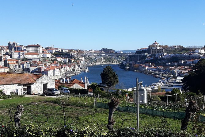 Porto Private Full Day Tour - Pricing and Booking Information