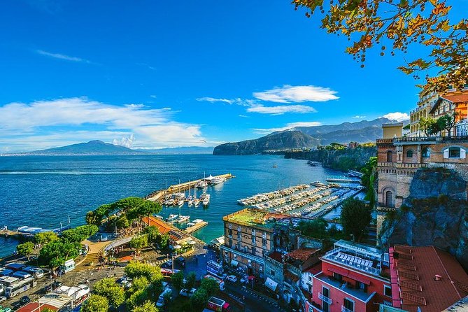 Positano, Sorrento, Pompeii Full-Day Private Driver  - Naples - Cancellation Policy