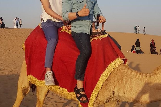 Premium Desert Safari, Barbeque, 3 Shows, Camel Ride, Sand-Board at Bedouin Camp - Additional Information