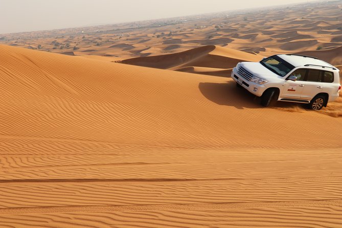 Premium Desert Safari With BBQ Dinner (Sharing/Private) - Additional Information