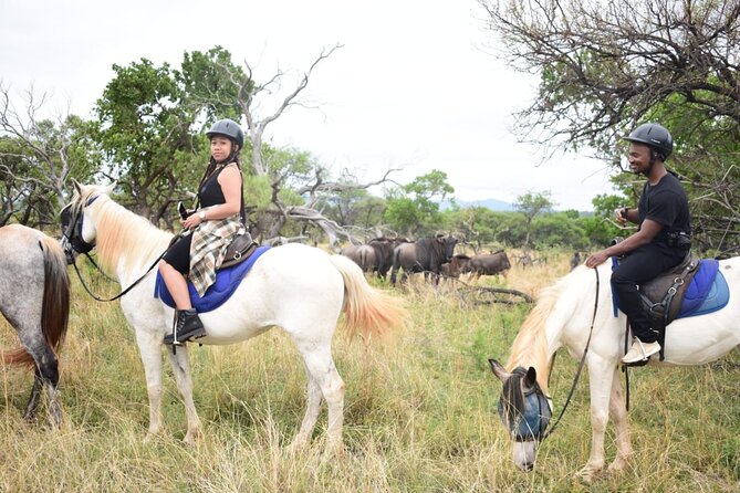 Pretoria Private Half-Day Horseback Riding Safari - Last Words