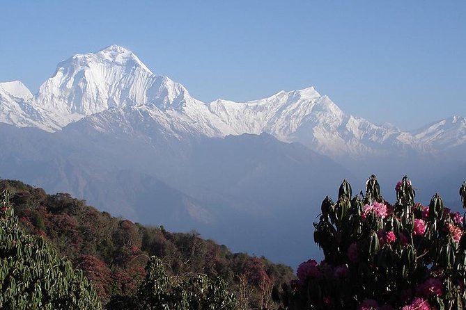 Private 14-Day Trekking and Sightseeing: Annapurnas & More  - Kathmandu - Accommodation Details
