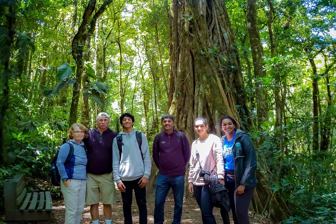 Private 3-Hour Guided Nature Walk, Monteverde Cloud Forest  - Puntarenas - Reviews