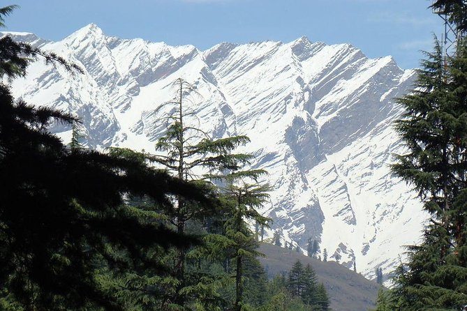 Private 7 Day Shimla Manali Hill Stations Tour From Chandigarh - Accommodation Information