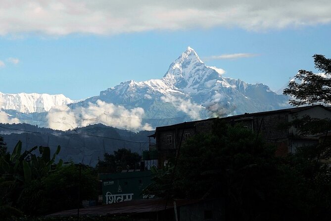 Private 8-Day Tour: Cities, Jungles, and Mountains of Nepal  - Kathmandu - Reviews and Ratings