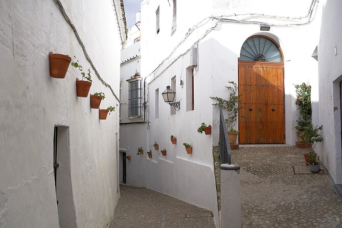 Private 8-Hour Tour of Cadiz and White Villages From Cadiz - Exclusions