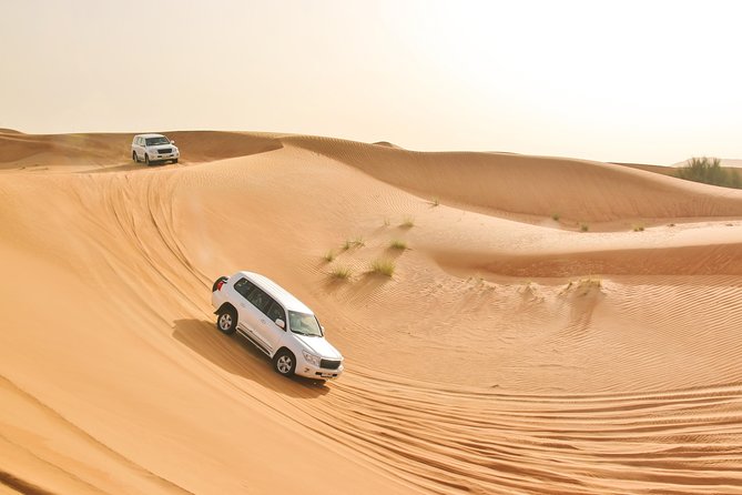 Private Abu Dhabi Evening Desert Safari (Exclusive) - Enhanced Visual Memories