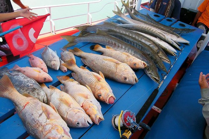 Private Boat Big Game Fishing Day Trip From Koh Samui - Itinerary Overview