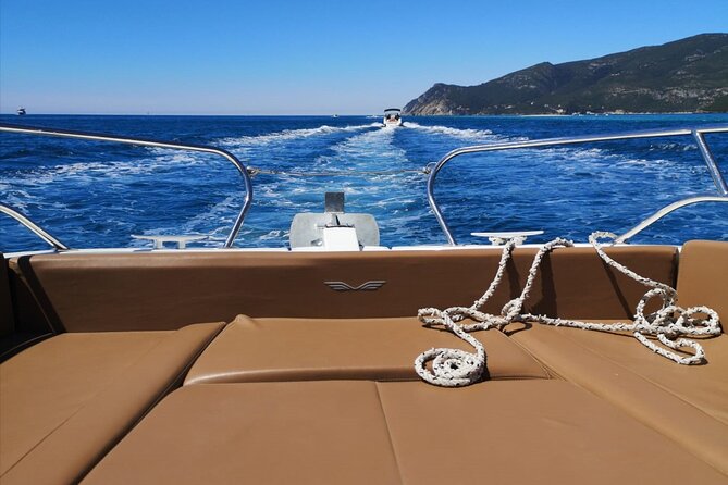 Private Boat Tour in Sesimbra With Dolphin Watching - Reviews