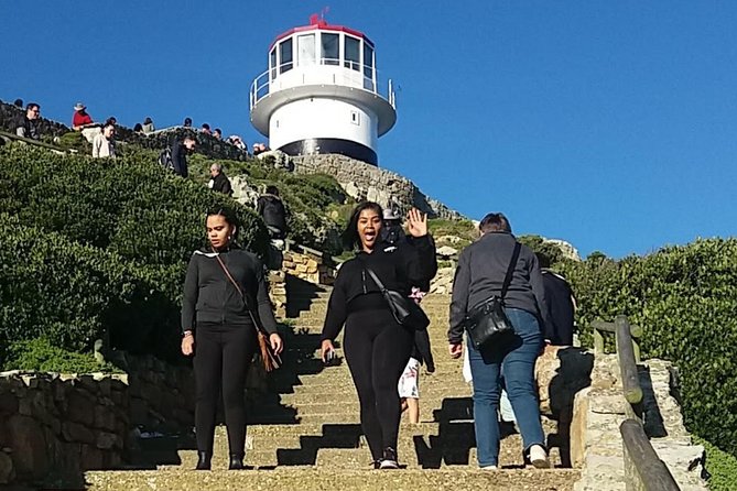Private Cape Point Penguins Tour - a Full Day of Exploring the Cape Peninsula - Traveler Reviews