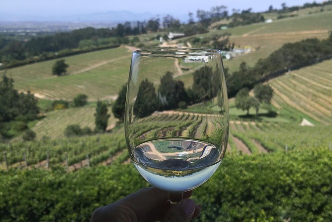 Private Cape Winelands Wine Tasting Tour - Exclusive Transportation