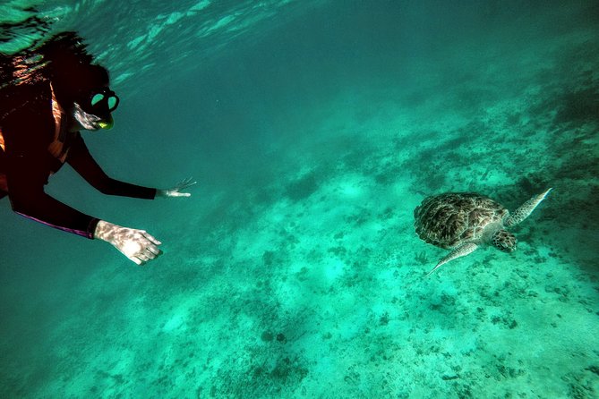 Private Cenote & Snorkeling Tour With Turtles in Akumal - Cancellation Policy Details