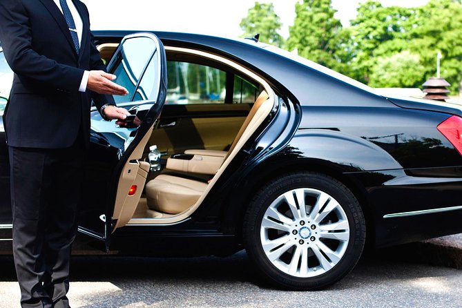 Private Chauffeured and Historian Guided City Tour of New Orleans - Tour Additional Information