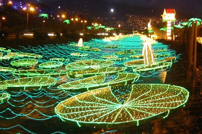 Private Christmas Lights Tour in Medellin - Tour Availability and Cancellation Policy