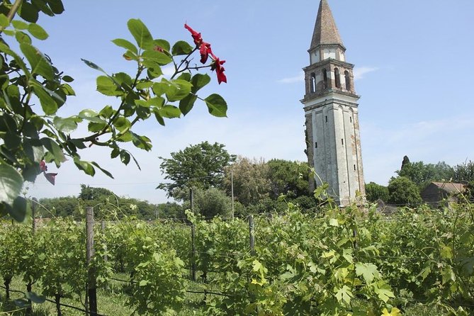 Private Cruise: Murano, Burano and Torcello Full Day - Shopping and Artisanal Crafts