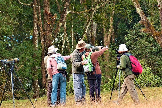 Private Day Hike and Birding Tour, Shivapuri National Park  - Kathmandu - Traveler Reviews and Ratings