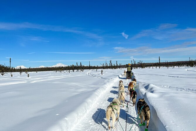 Private Dog Sled Tour - Inclusions