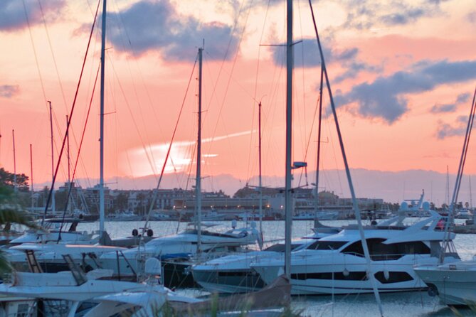 Private Experience Painting and Gastronomy in Denia Sea Sunset - Expectations and Accessibility