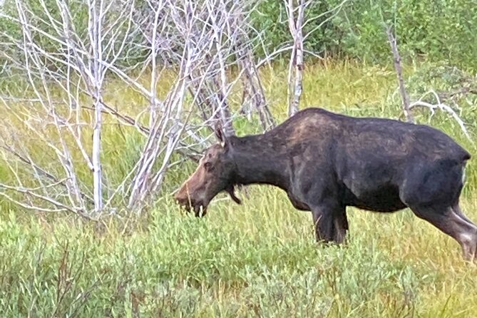 Private Full-Day Grand Teton National Park Tour With Picnic Lunch - Meeting Point Details