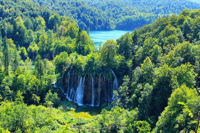 Private Full-Day Tour in Plitvice Lakes National Park From Zadar - Customer Reviews