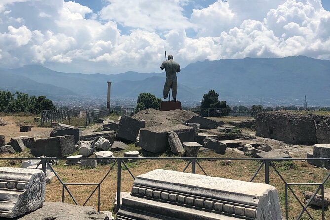 Private Full Day Tour Ruins of Pompei and Wine Tasting Experience - Transparent Pricing Structure