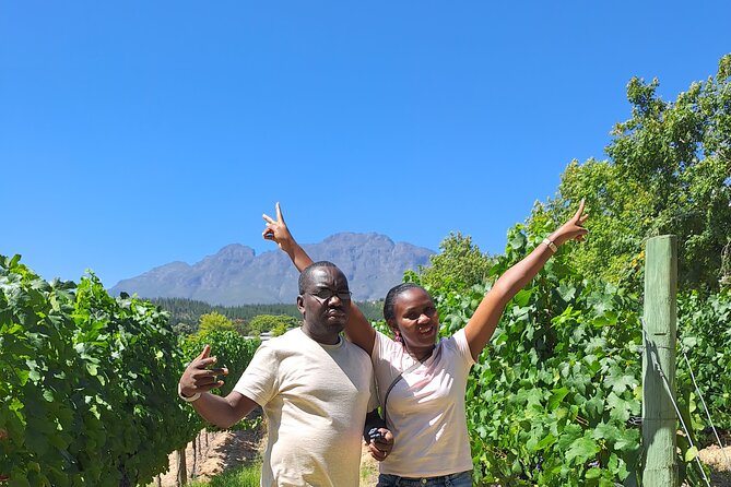 Private Full Day Wine Tasting in Cape Town - Exclusive Wine Selections