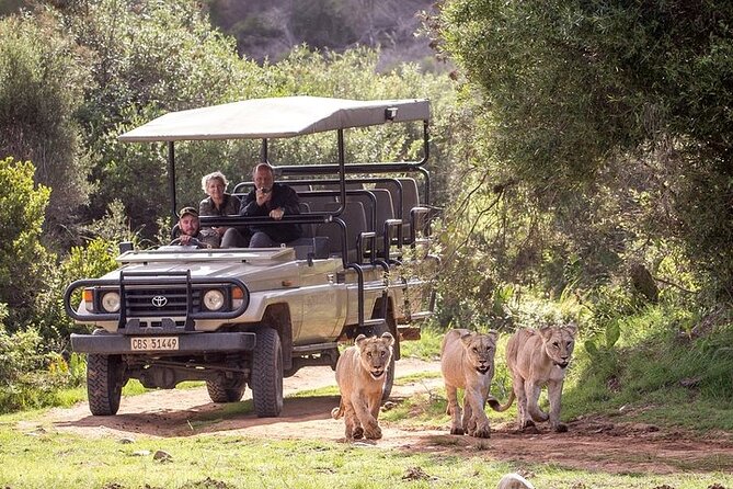 Private Garden Route Tour From Cape Town With Game Drive - Accommodation Details