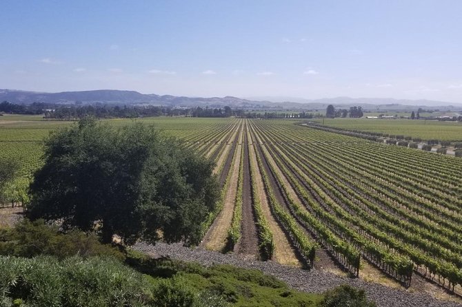 Private Group Wine Tour of Napa and Sonoma - Inclusions With the Tour Package