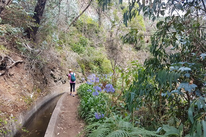 Private Guided Walk Levada Monte to Palheiro Ferreiro - What to Bring