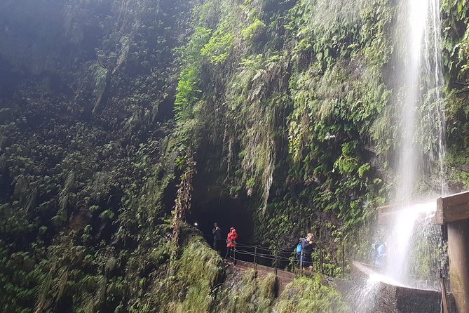 Private Guided Walk Levada Ribeira Da Janela - Tour Experience Details