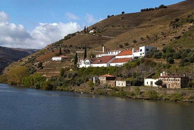 Private Half-Day Douro Tour - Customer Reviews