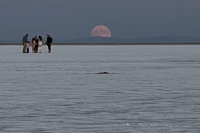 Private Half-Day Tour to Bonneville Salt Flats - Pickup and Cancellation Policy