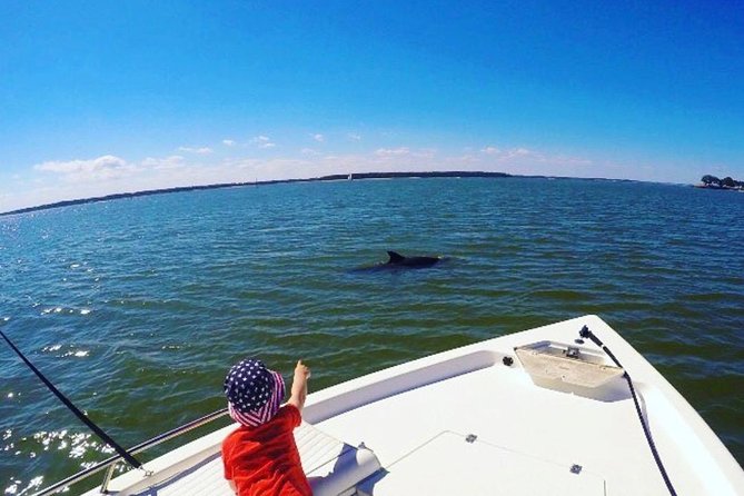 Private Hilton Head Dolphin Tour - Educational Experience