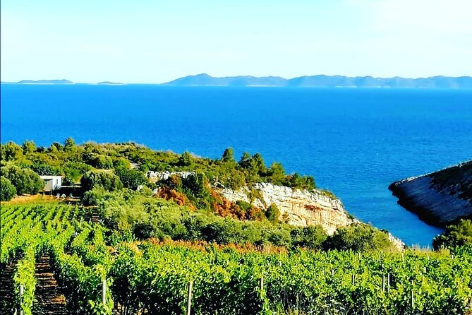 Private Korcula Wine Tour and Tasting - Wine Selection