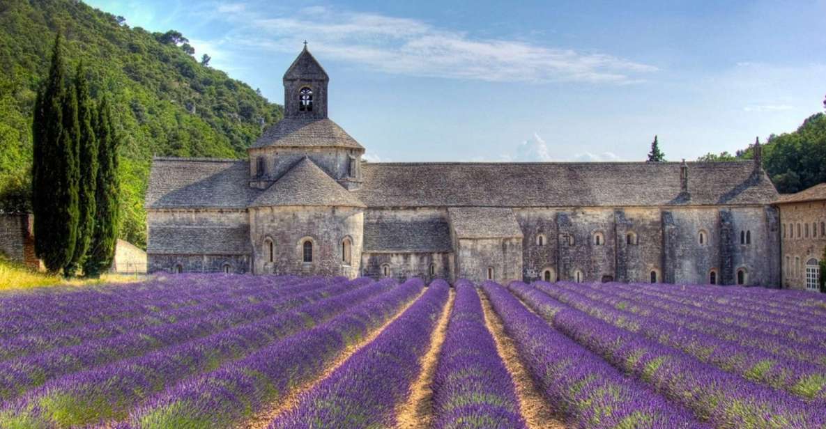 Private Lavender of Provence Tour - Pickup and Accessibility Information