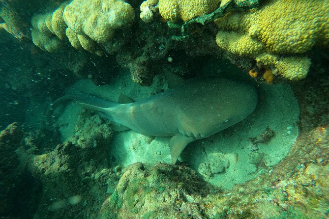 Private MegaSUP & Snorkel Tour of Fort Lauderdale Reefs - End Point and Cancellation Policy