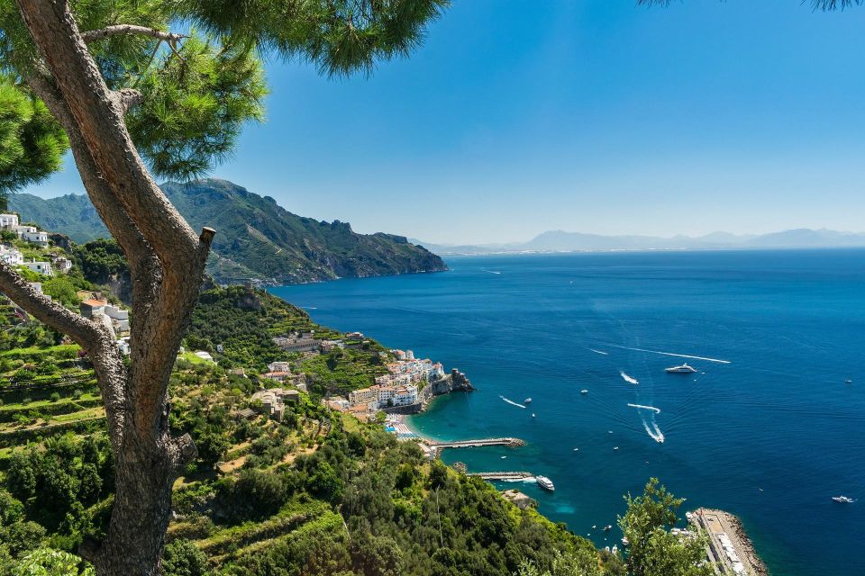 Private Minibus Tour Amalfi Coast, Ravello, Amalfi,Positano - Driver & Vehicle