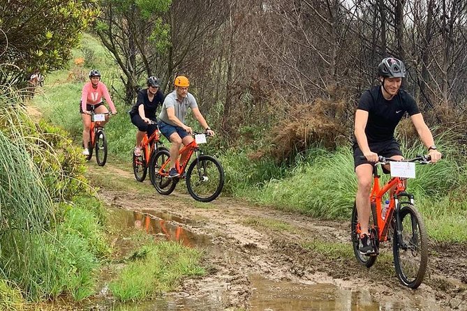 Private Mountain Biking Adventure in Sintra Cascais Park - Customer Reviews