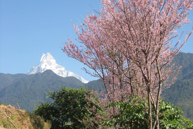 Private Multi Day Nepal Poon Hill Trekking Tour - Inclusions and Amenities