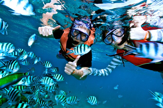 Private MUSA Snorkeling Experience at Isla Mujeres and Cancun - Reviews and Testimonials