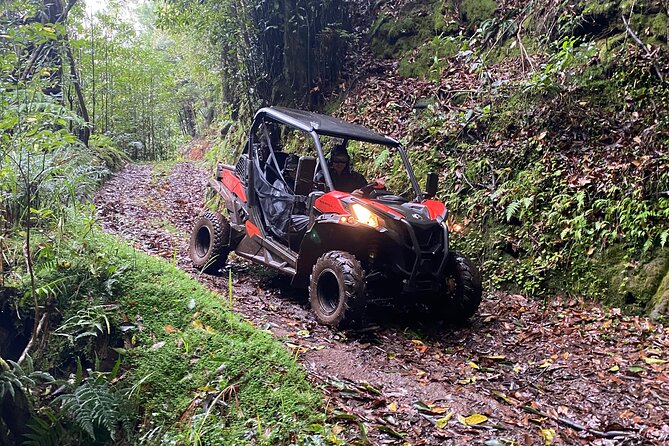 Private Offroad Buggy Driving Experience Pickup Included - Customer Reviews and Ratings